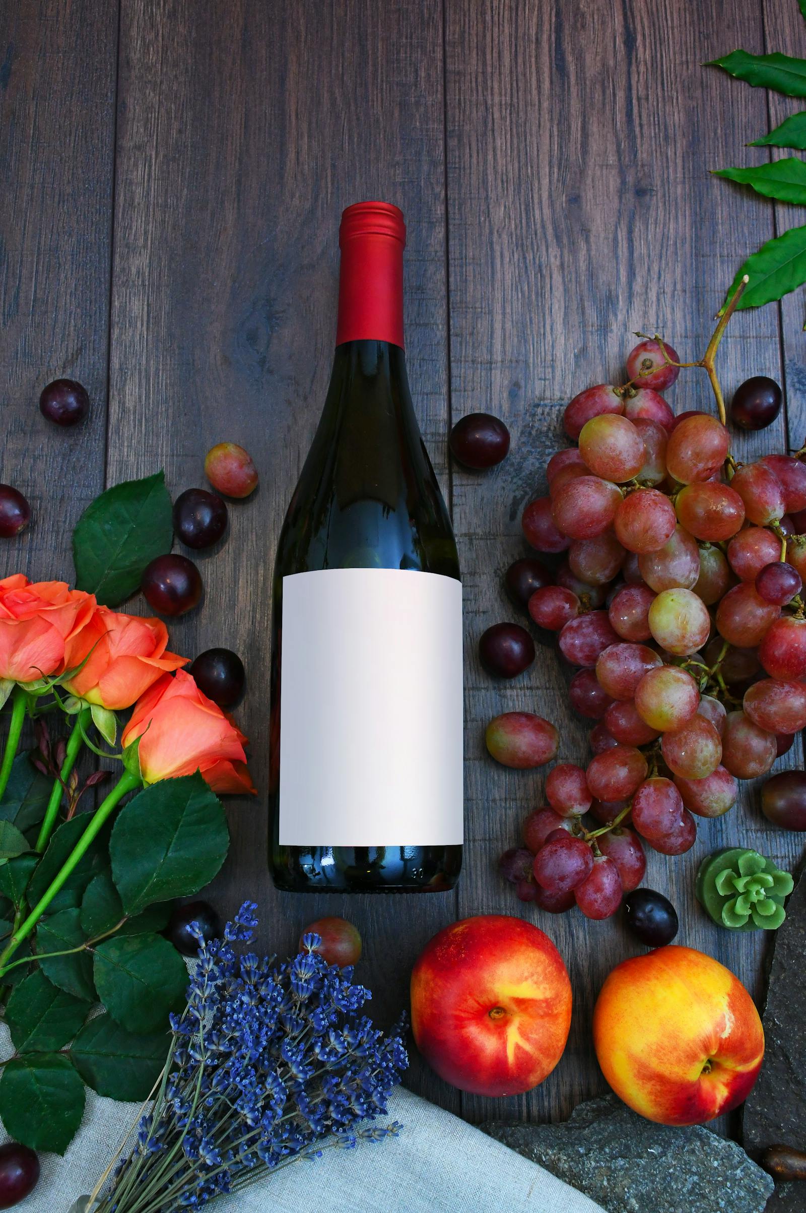How does an Electric Wine Cooler work? article illustration