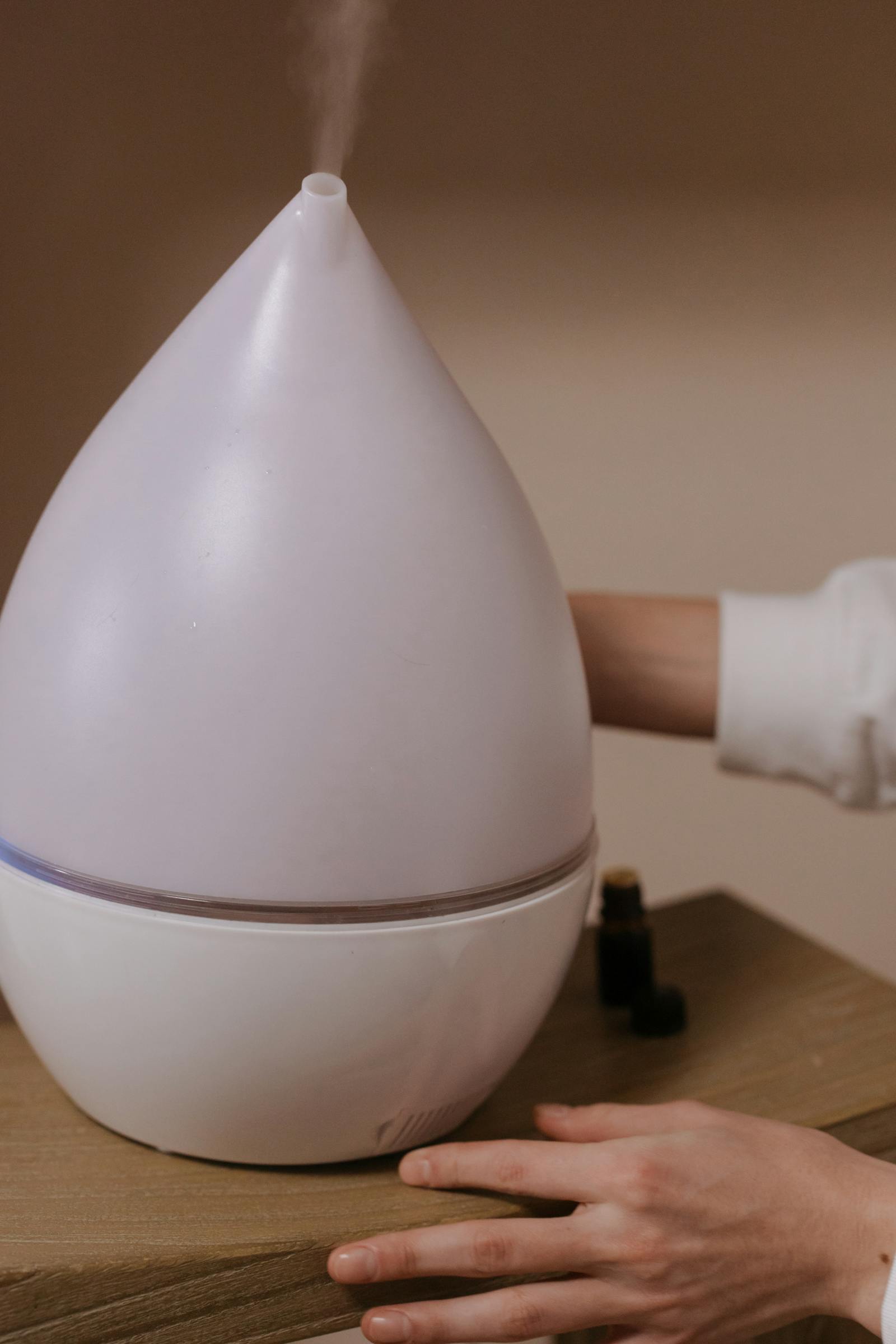How does a Humidifier work? article illustration