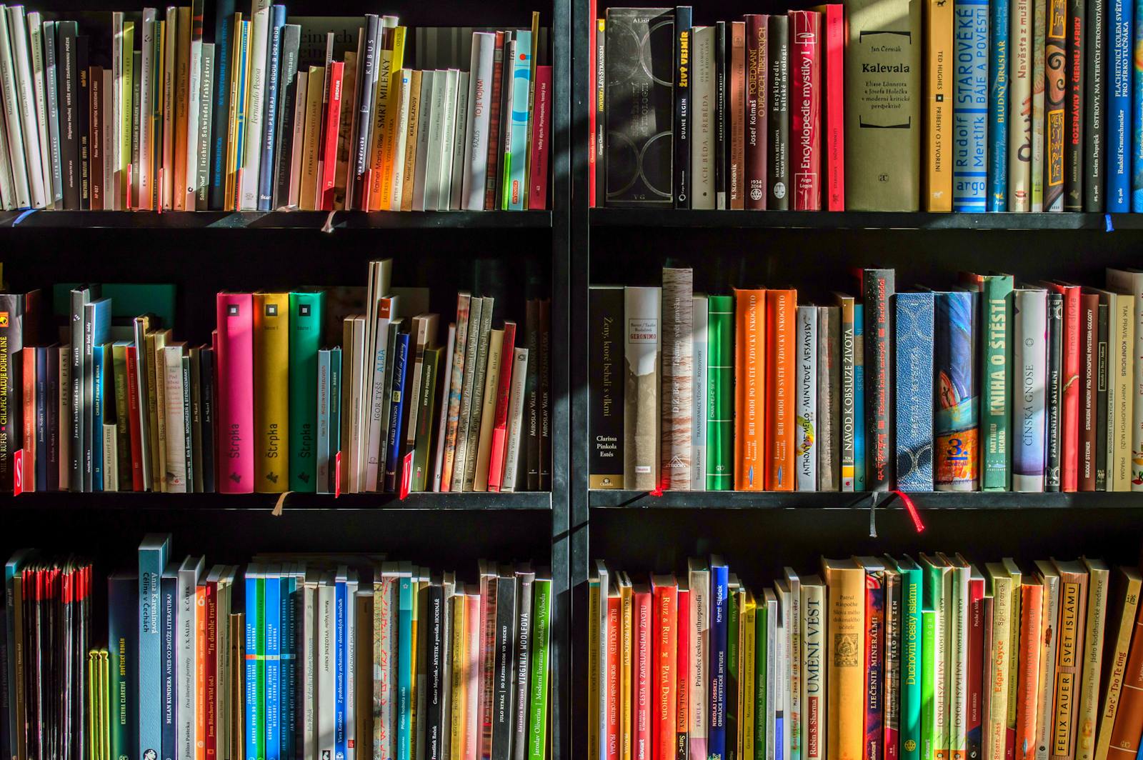 How does a Smart Bookshelf work? article illustration