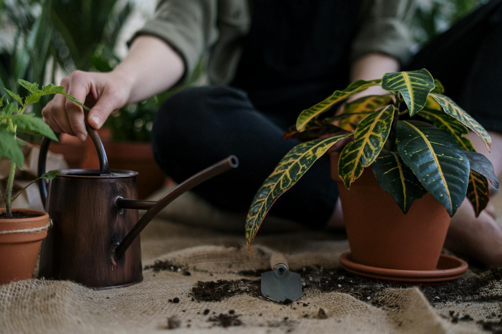 How does a Smart Compost Sensor work? article illustration